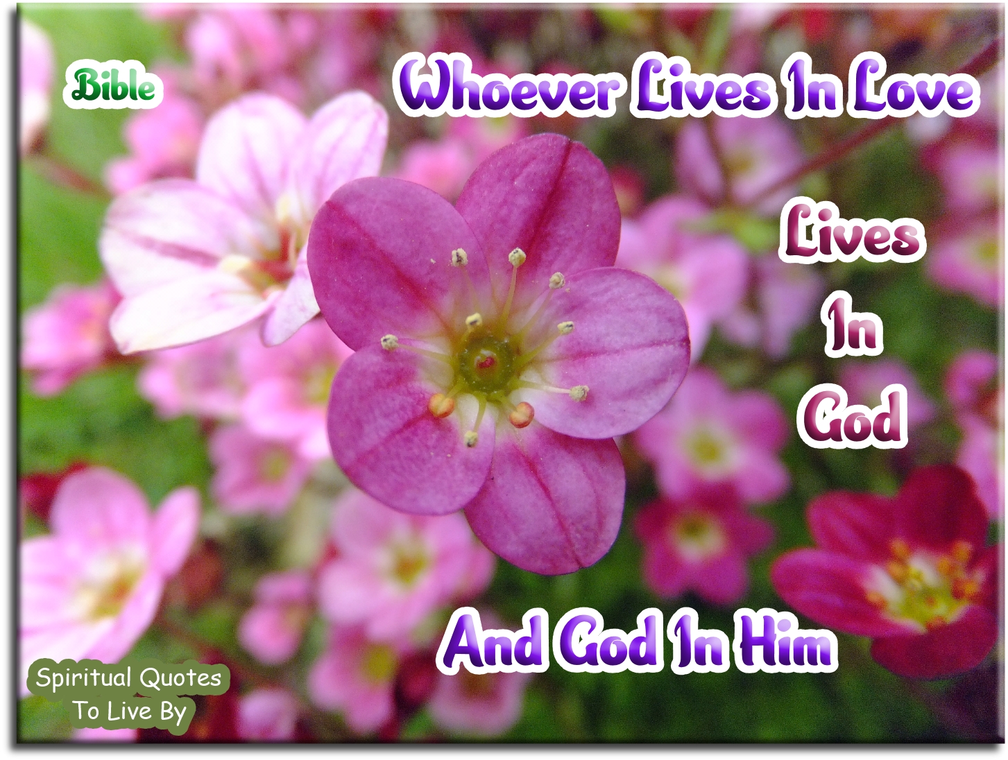 Bible quote - Whoever lives in Love, lives in God and God in him - Spiritual Quotes To Live By