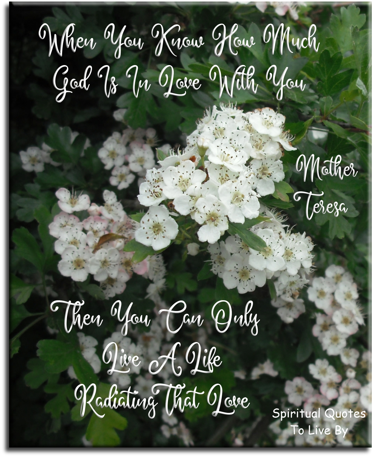 Mother Teresa quote - When you know how much God is in love with you, then you can only live a life radiating that love. - Spiritual Quotes To Live By