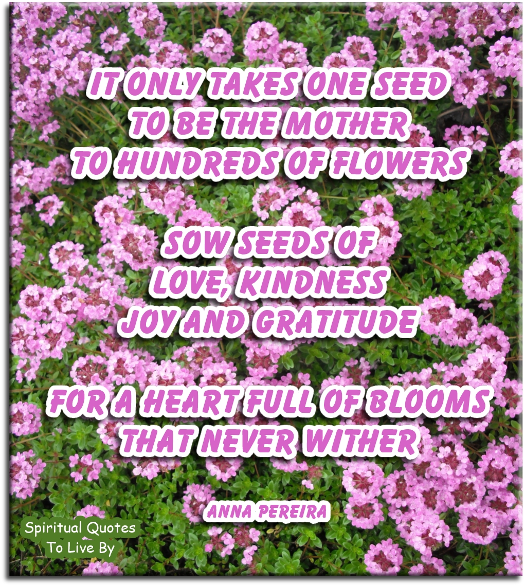 Anna Pereira quote - It only takes one seed to be the mother to hundreds of flowers. Sow seeds of Love, Kindness, Joy and Gratitude for a heart full of blooms that never wither. - Spiritual Quotes To Live By
