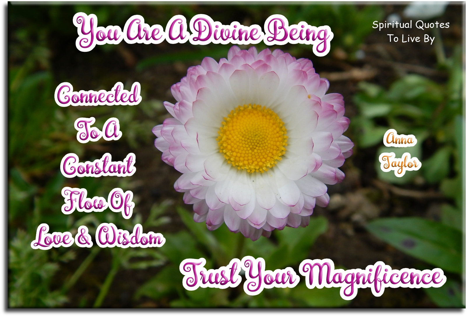 Anna Taylor quote - You are a Divine Being connected to a constant flow of love and wisdom. Trust your magnificence. - Spiritual Quotes To Live By