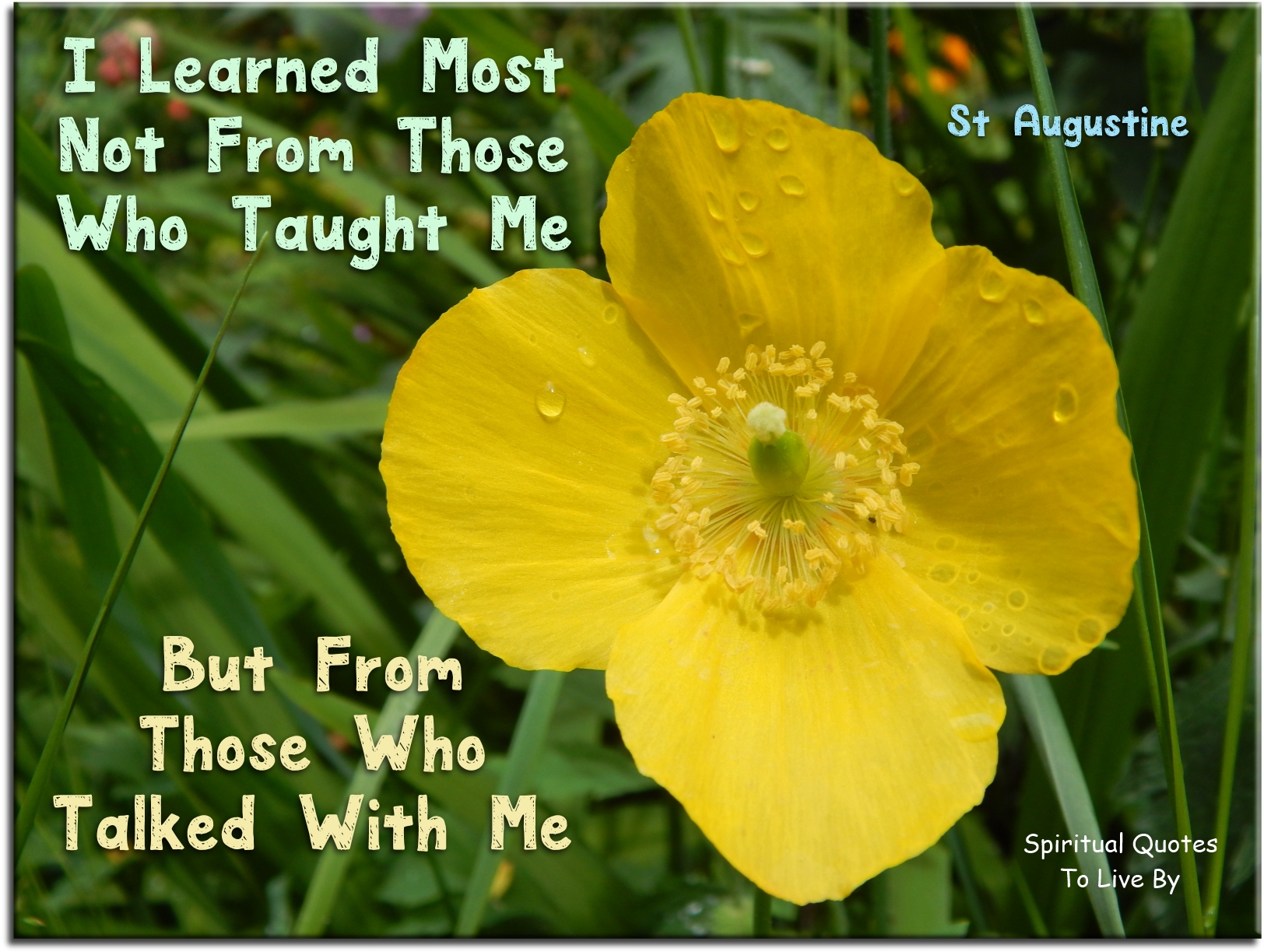 St Augustine quote - I learned most, not from those who taught me, but from those who talked with me. - Spiritual Quotes To Live By