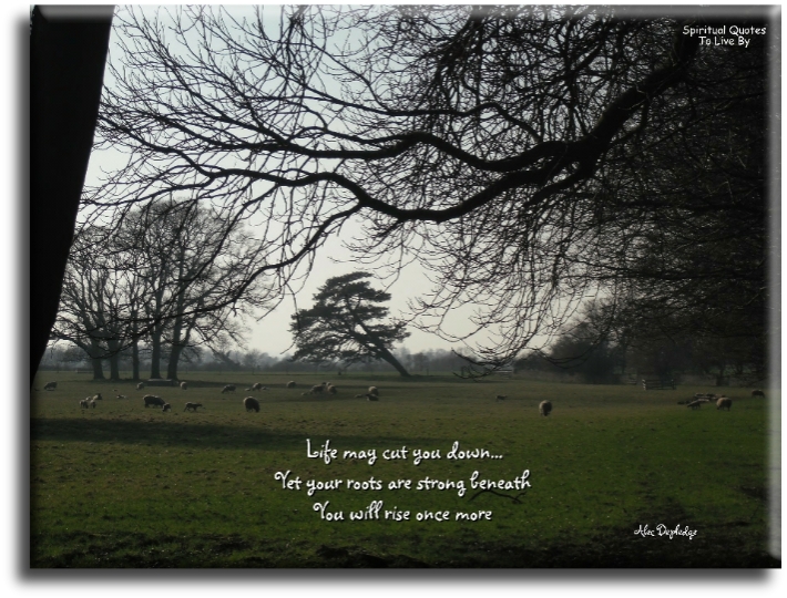 Alec Depledge quote - Life may cut you down, yet your roots are strong beneath, you will rise once more - Spiritual Quotes To Live By