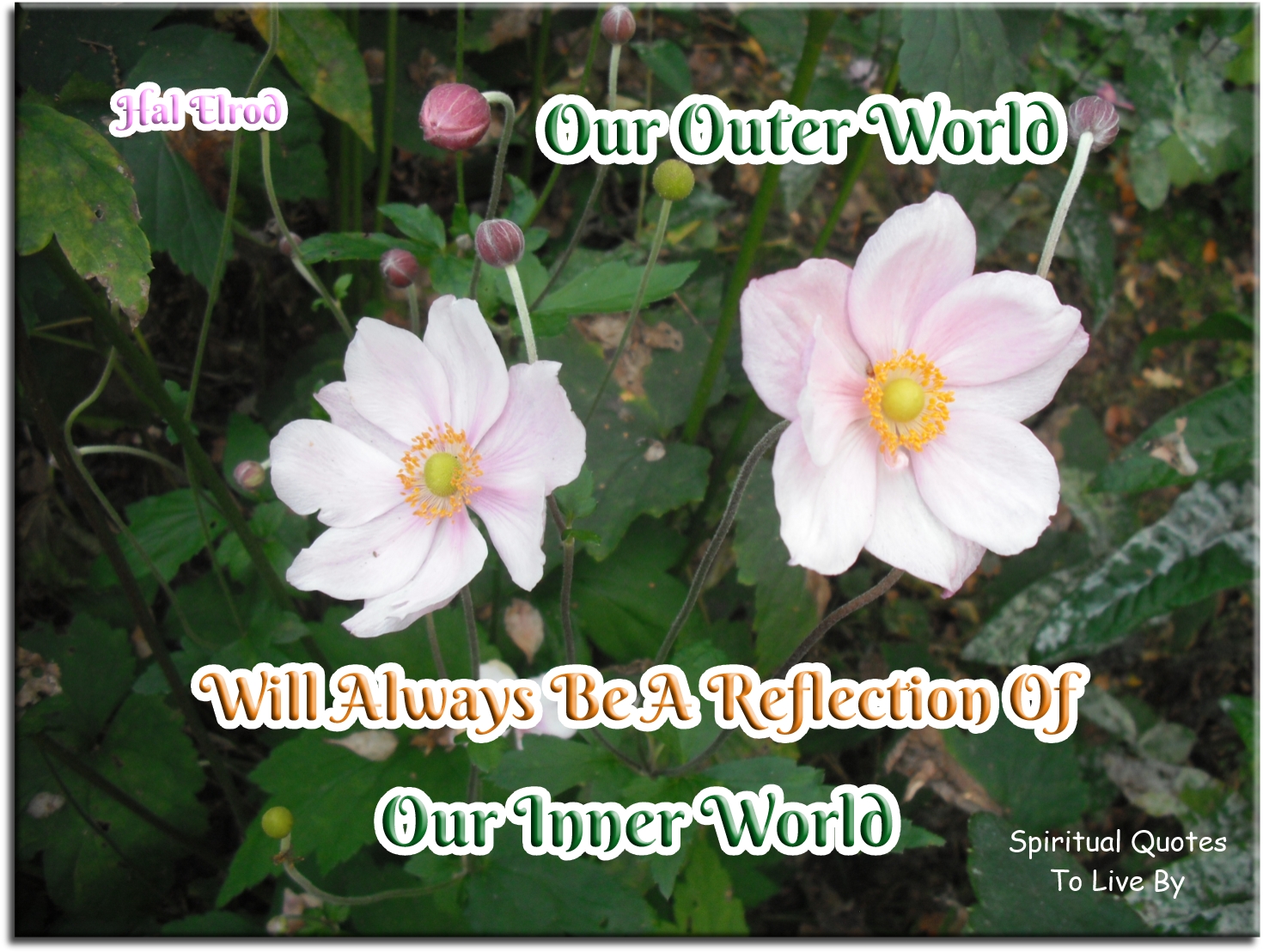 Hal Elrod quote - Our outer world will always be a reflection of our inner world - Spiritual Quotes To Live By