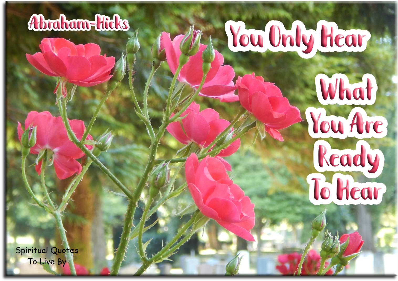 Abraham Hicks quote - You only hear what you are ready to hear - Spiritual Quotes To Live By