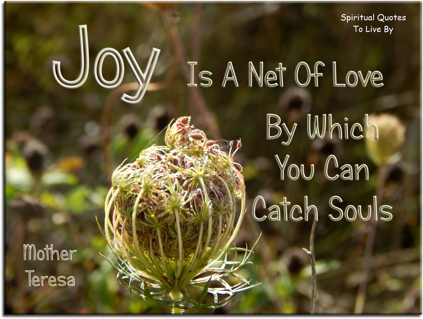 Mother Teresa quote - Joy is a net of love by which you can catch Souls. - Spiritual Quotes To Live By