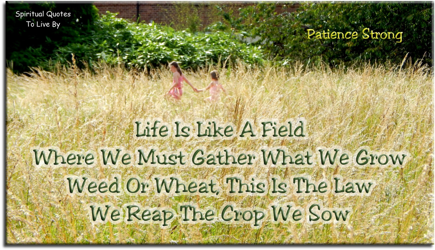 Patience Strong quote - Life is like a field, where we must gather what we grow. Weed or wheat.. This is the law. We reap the crop we sow. - Spiritual Quotes To Live By
