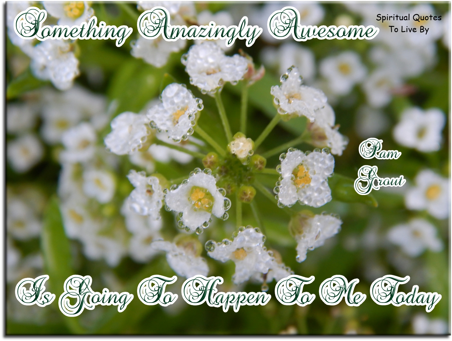 Pam Grout quote - Something amazingly awesome is going to happen to me today. - Spiritual Quotes To Live By