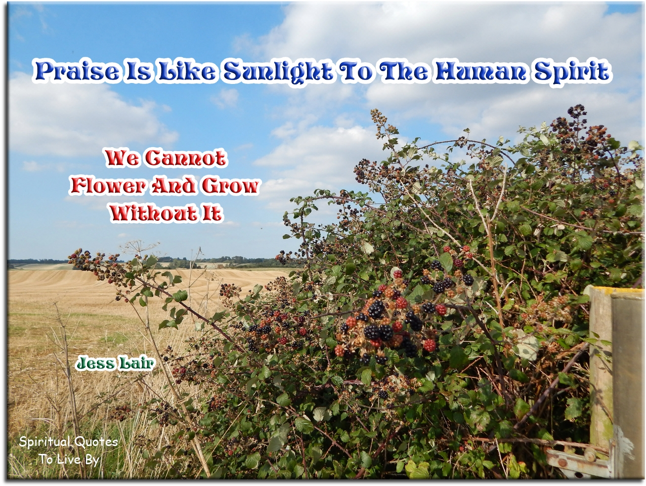 Jess Lair quote - Praise is like the sunlight to the human spirit, we cannot flower and grow without it - Spiritual Quotes To Live By