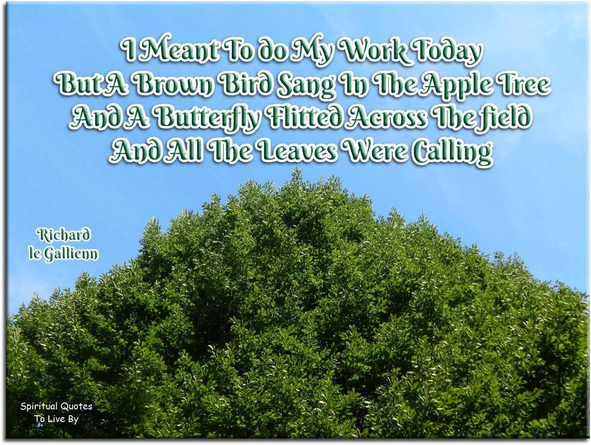 Richard Gallienn quote - I meant to do my work today, but a brown bird sang in the apple tree, and a butterfly flitted across the field and all the leaves were calling. - Spiritual Quotes To Live By