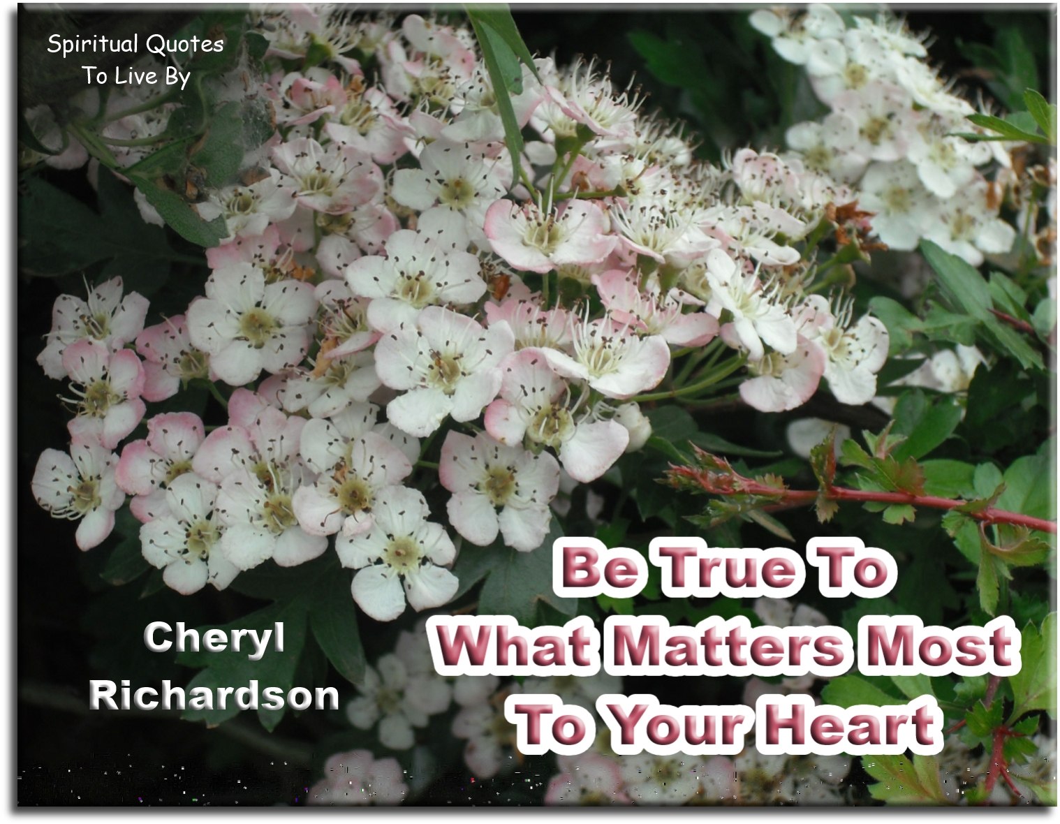 Cheryl Richardson quote - Be true to what matters most to your heart. - Spiritual Quotes To Live By