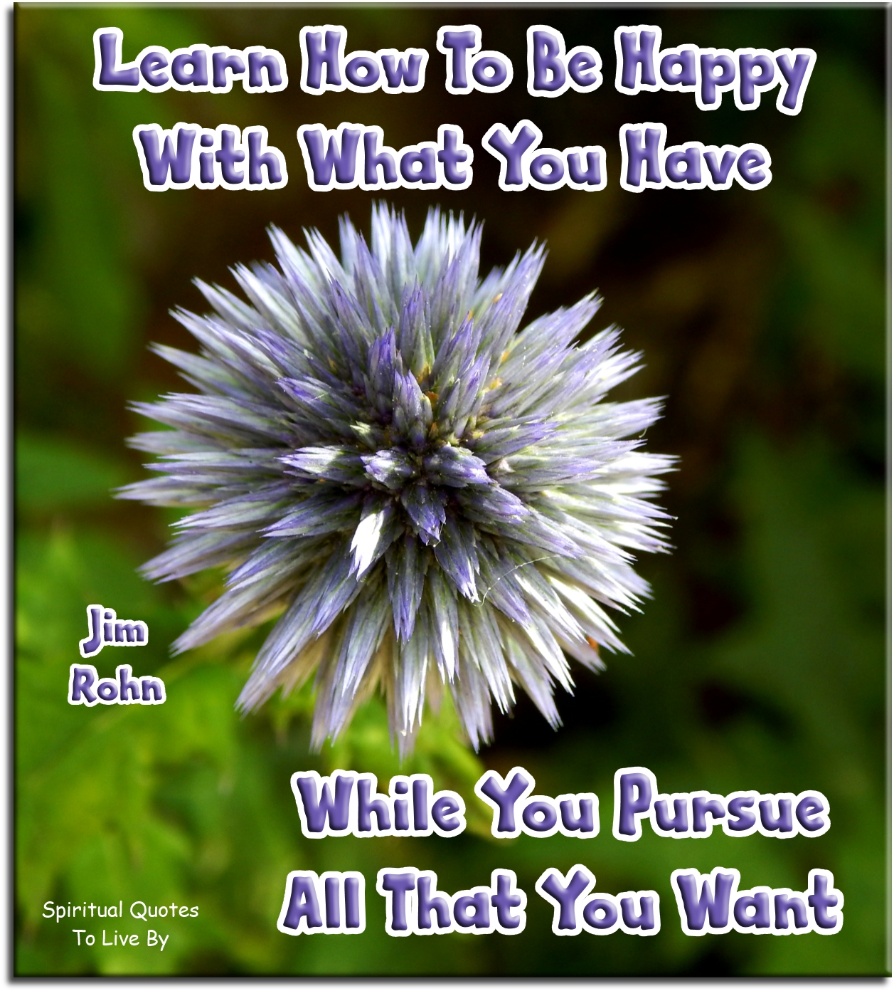 Jim Rohn quote - Learn how to be happy with what you have, while you pursue all that you want. - Spiritual Quotes To Live By