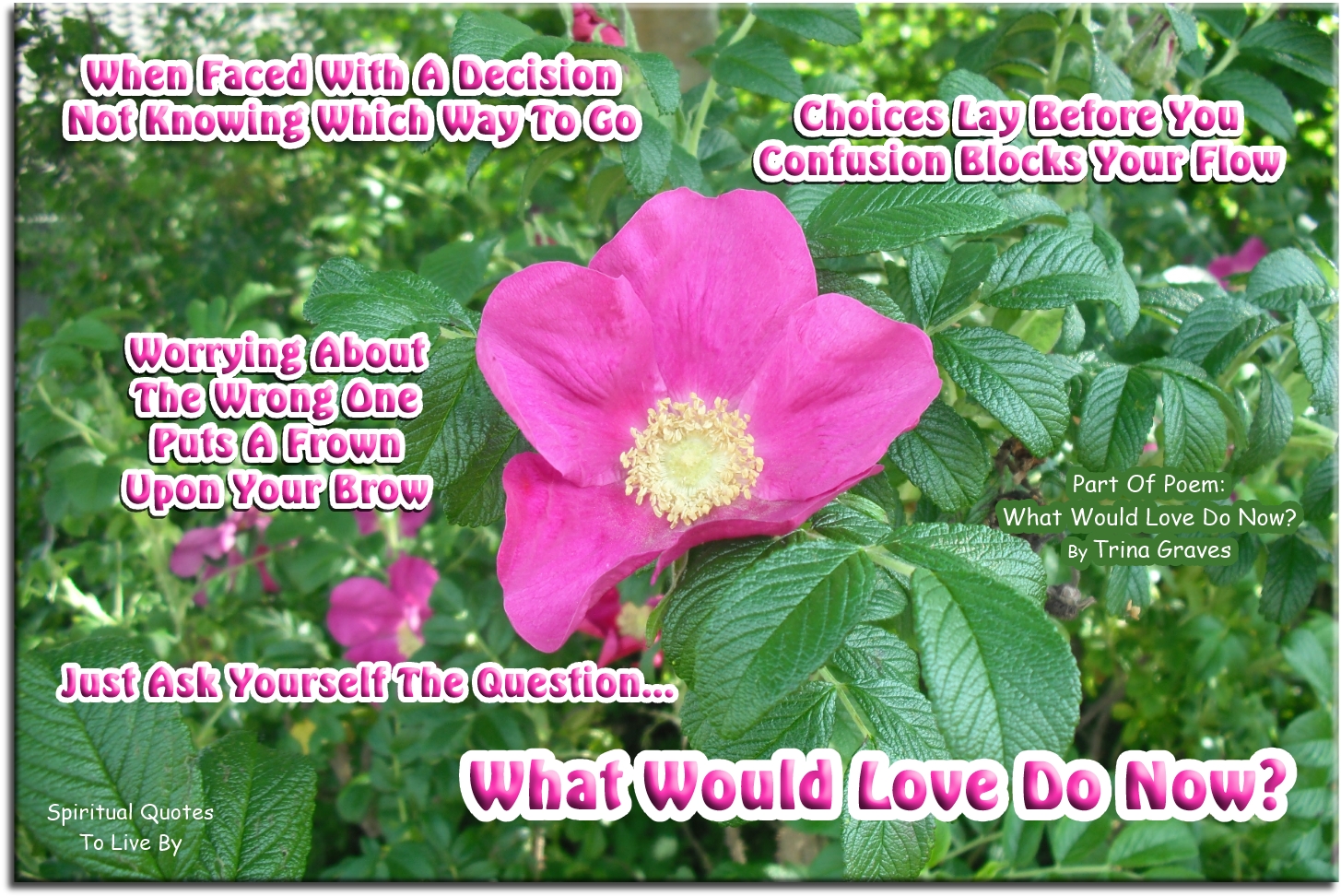 Trina Graves quote - When faced with a decision, not knowing which way to go, choices lay before you, confusion blocks your flow, worrying about the wrong one puts a frown upon your brow, just ask yourself the question, what would love do now? - Spiritual Quotes To Live By