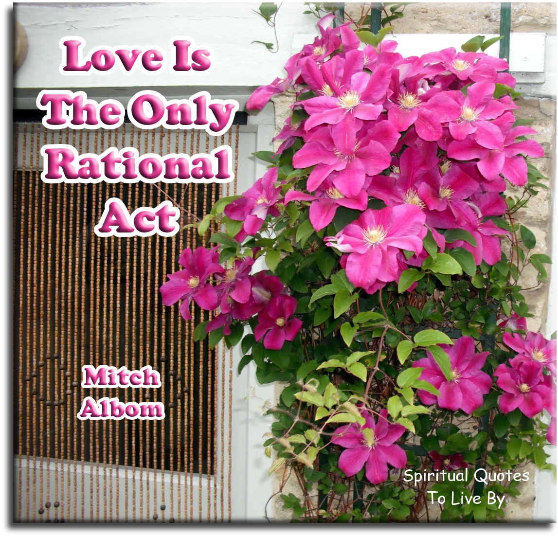 Mitch Albom quote - Love is the only rational act - Spiritual Quotes To Live By