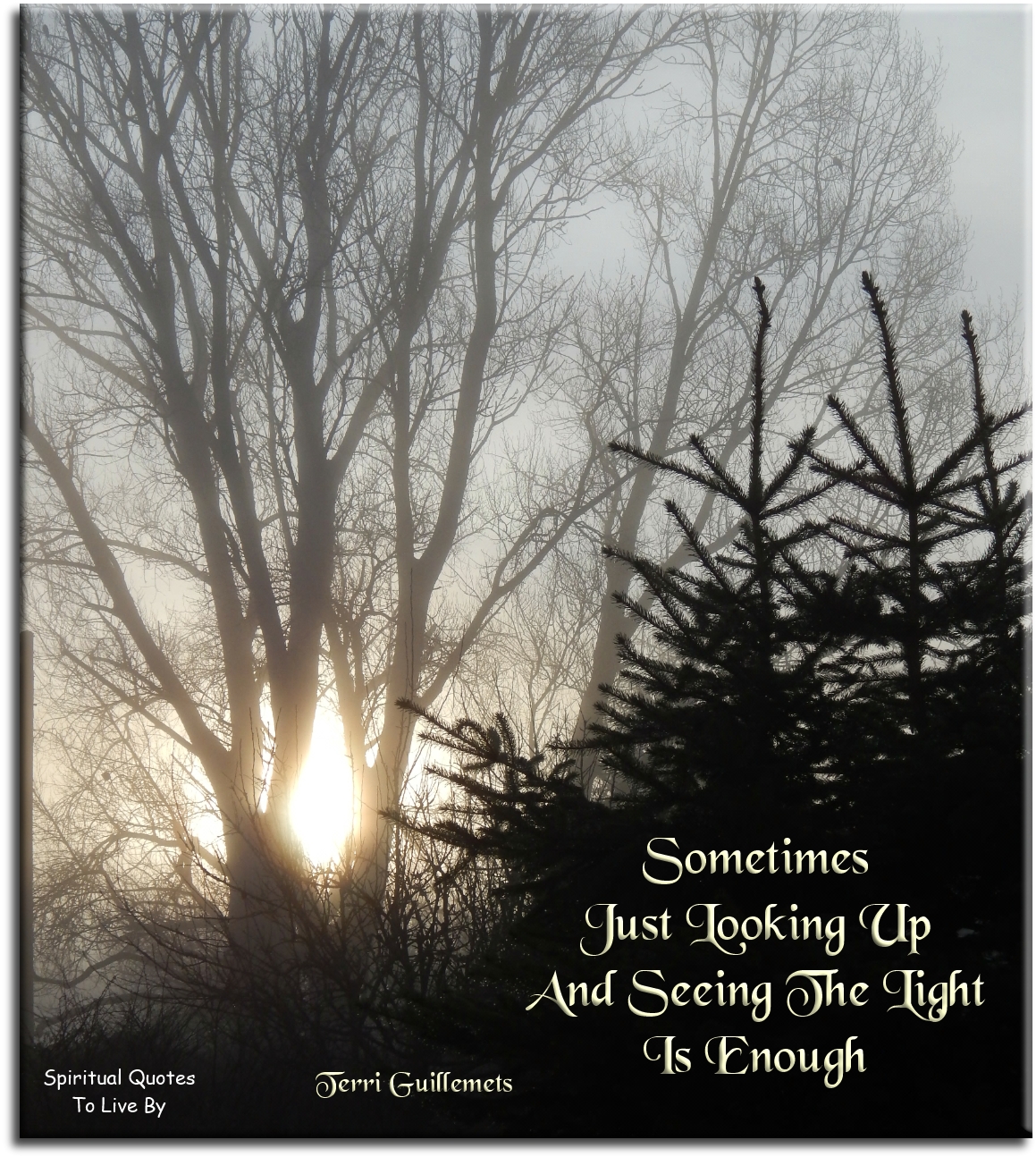 Terri Guillemets quote - Sometimes just looking up and seeing the Light is enough - Spiritual Quotes To Live By