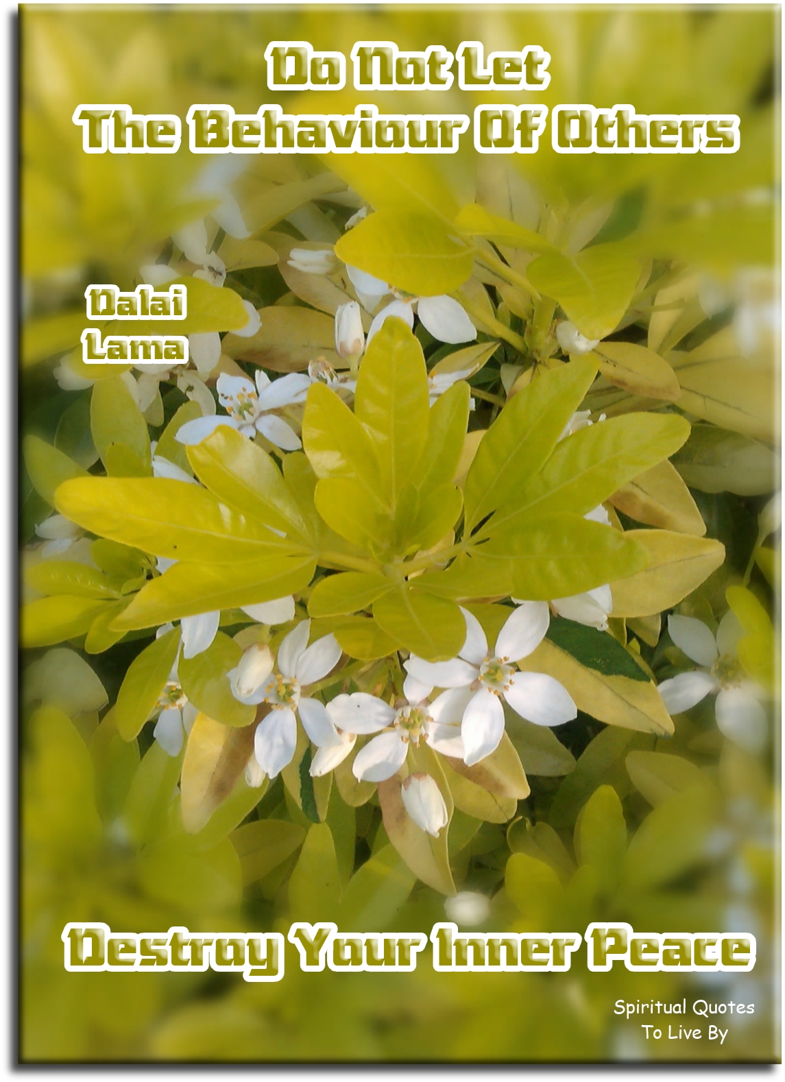 Dalai Lama quote - Do not let the behaviour of others destroy your inner peace. - Spiritual Quotes To Live By