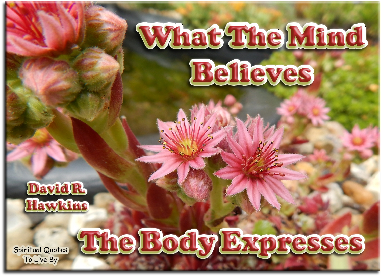 David R. Hawkins quote - What the mind believes.. The body expresses. - Spiritual Quotes To Live By