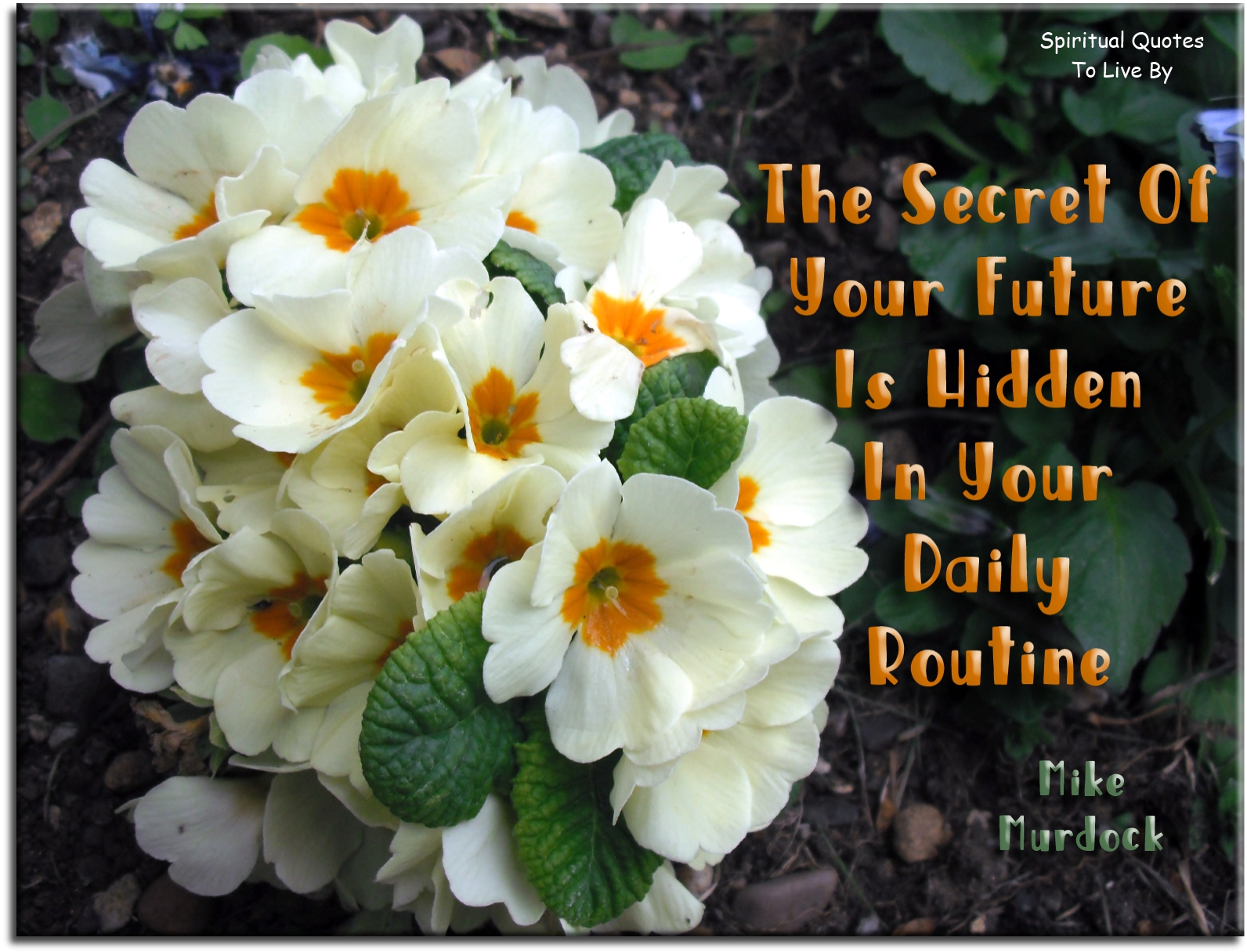 Mike Murdock quote: The secret of your future is hidden in your daily routine - Spiritual Quotes To Live By