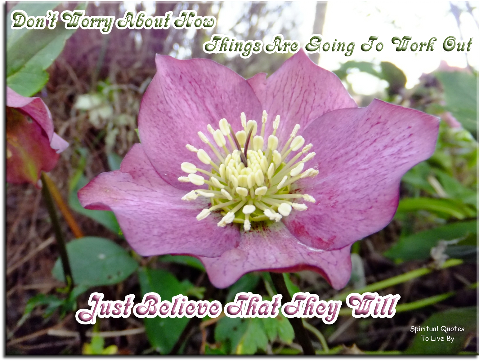 Don’t worry about how things are going to work out, just believe that they will. - Spiritual Quotes To Live By