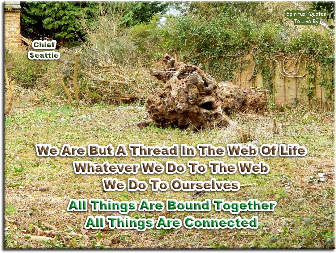 Chief Seattle quote - We are but a thread in the web of life. Whatever we do to the web, we do to ourselves. All things are bound together, all things are connected - Spiritual Quotes To Live By