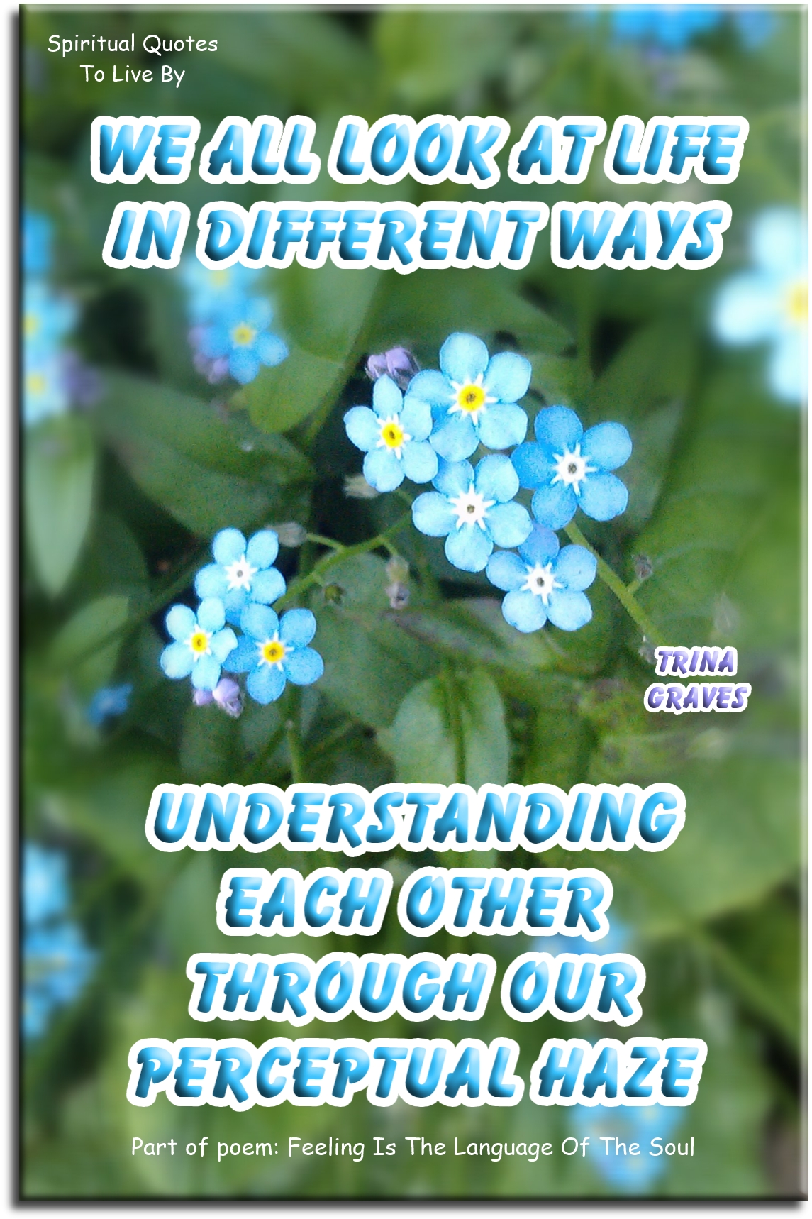 Trina Graves quote - We all look at life in different ways Understanding each other through our perceptual haze - Spiritual Quotes To Live By