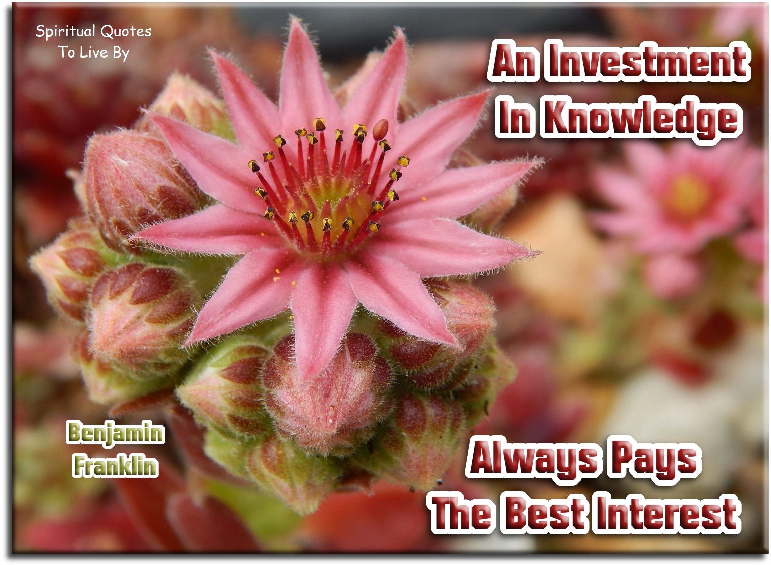 Benjamin Franklin quote - An investment in knowledge always pays the best interest. - Spiritual Quotes To Live By