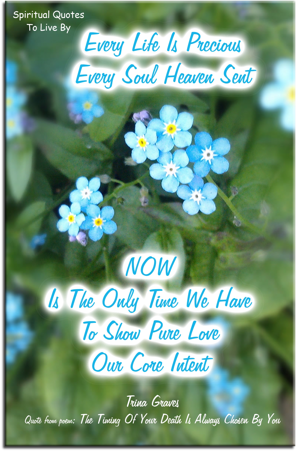 Trina Graves quote - Every life is precious, Every Soul Heaven sent. Now is the only time we have, To show pure Love, Our core intent - Spiritual Quotes To Live By