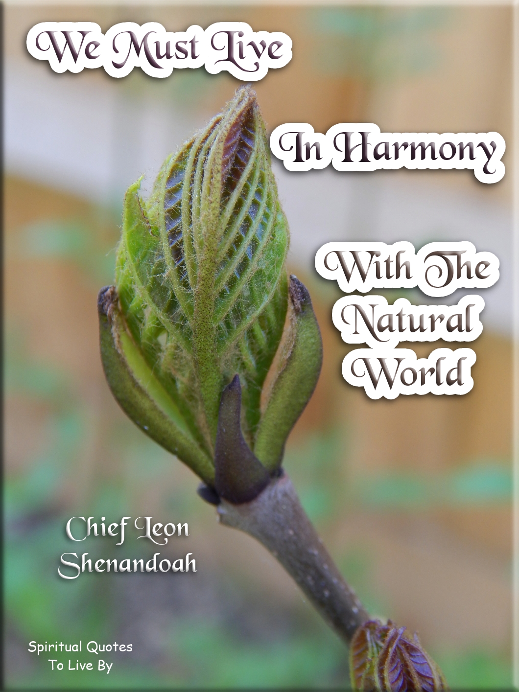 Chief Leon Shenandoah quote - We must live in harmony with the Natural World. - Spiritual Quotes To Live By