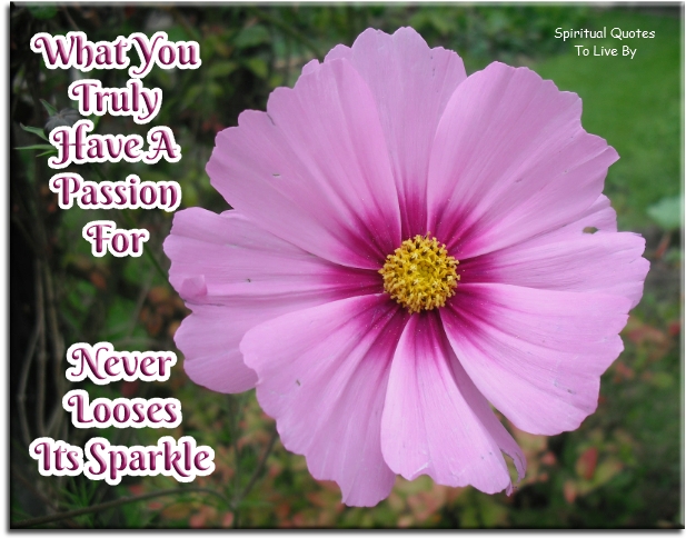 What you truly have a passion for, never looses its sparkle. - Spiritual Quotes To Live By