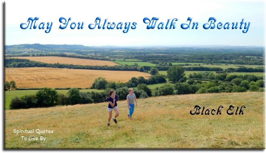 Black Elk quote - May you always walk in beauty - Spiritual Quotes To Live By