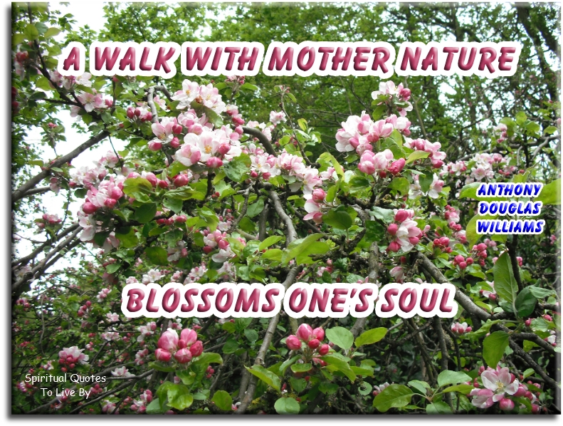 Anthony Douglas Williams quote - A walk with Mother Nature blossoms one’s Soul. - Spiritual Quotes To Live By