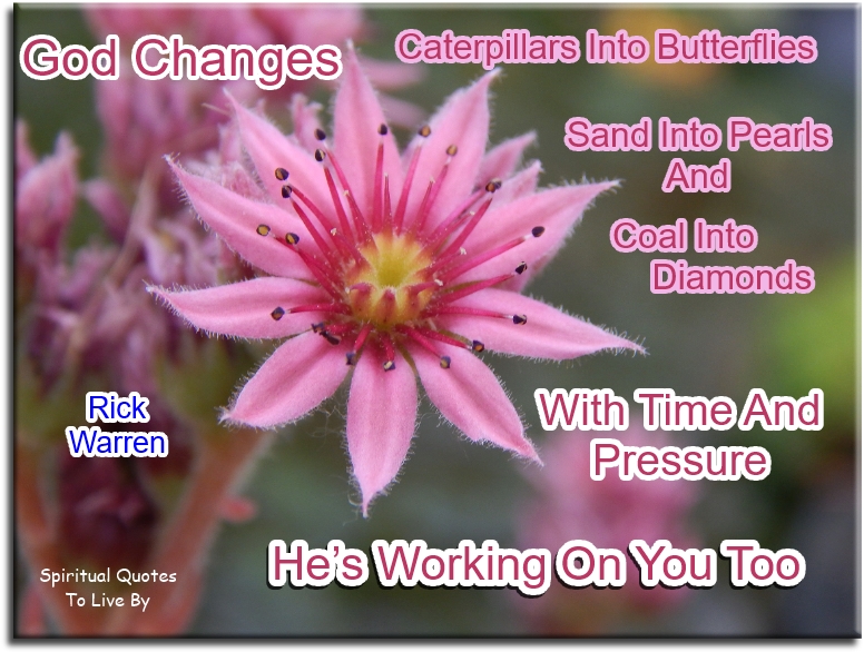 Rick Warren quote - God changes caterpillars into butterflies... Spiritual Quotes To Live By