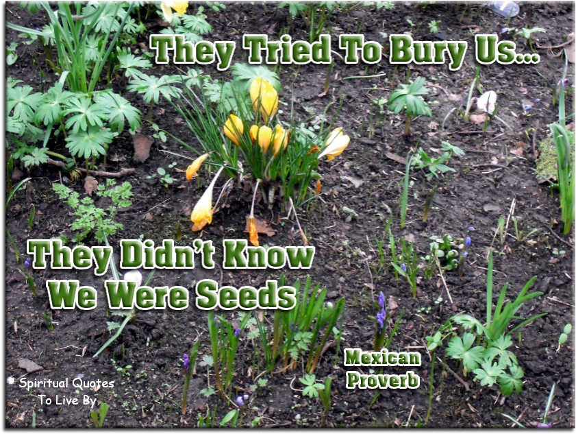 Proverb - They tried to bury us.. They didn’t know we were seeds. - Spiritual Quotes To Live By
