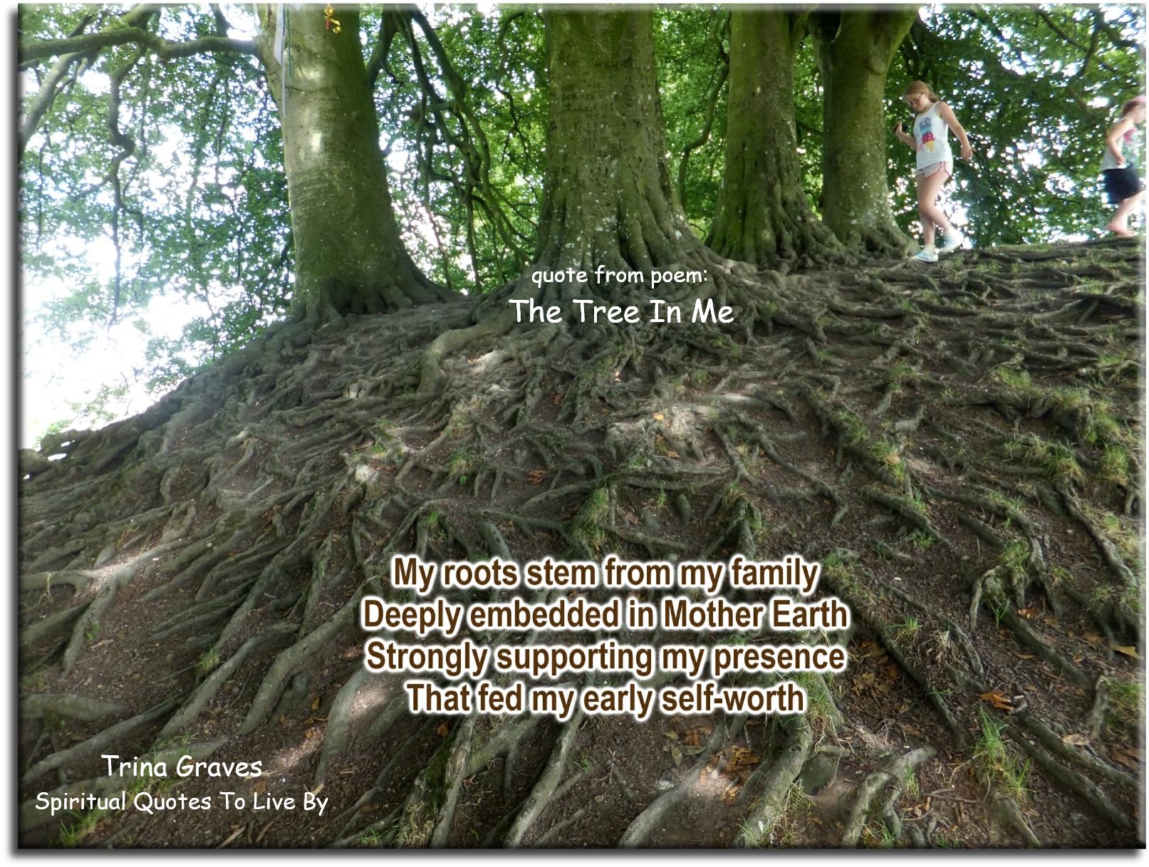 Trina Graves quote - My roots stem from my family, deeply embedded in Mother Earth... - Spiritual Quotes To Live By