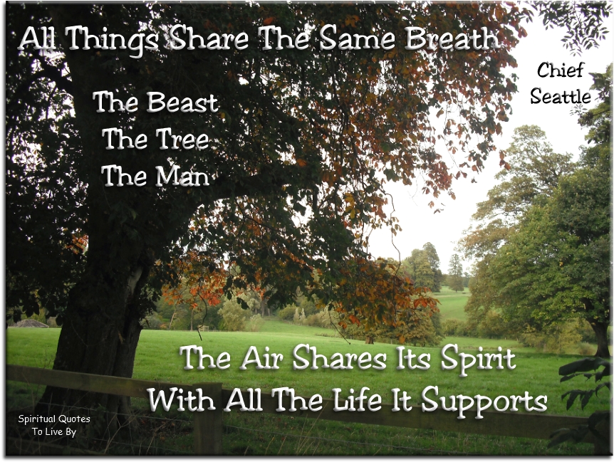 Chief Seattle quote - All things share the same breath; the beast, the tree, the man. The air shares its spirit with all the life it supports. - Spiritual Quotes To Live By