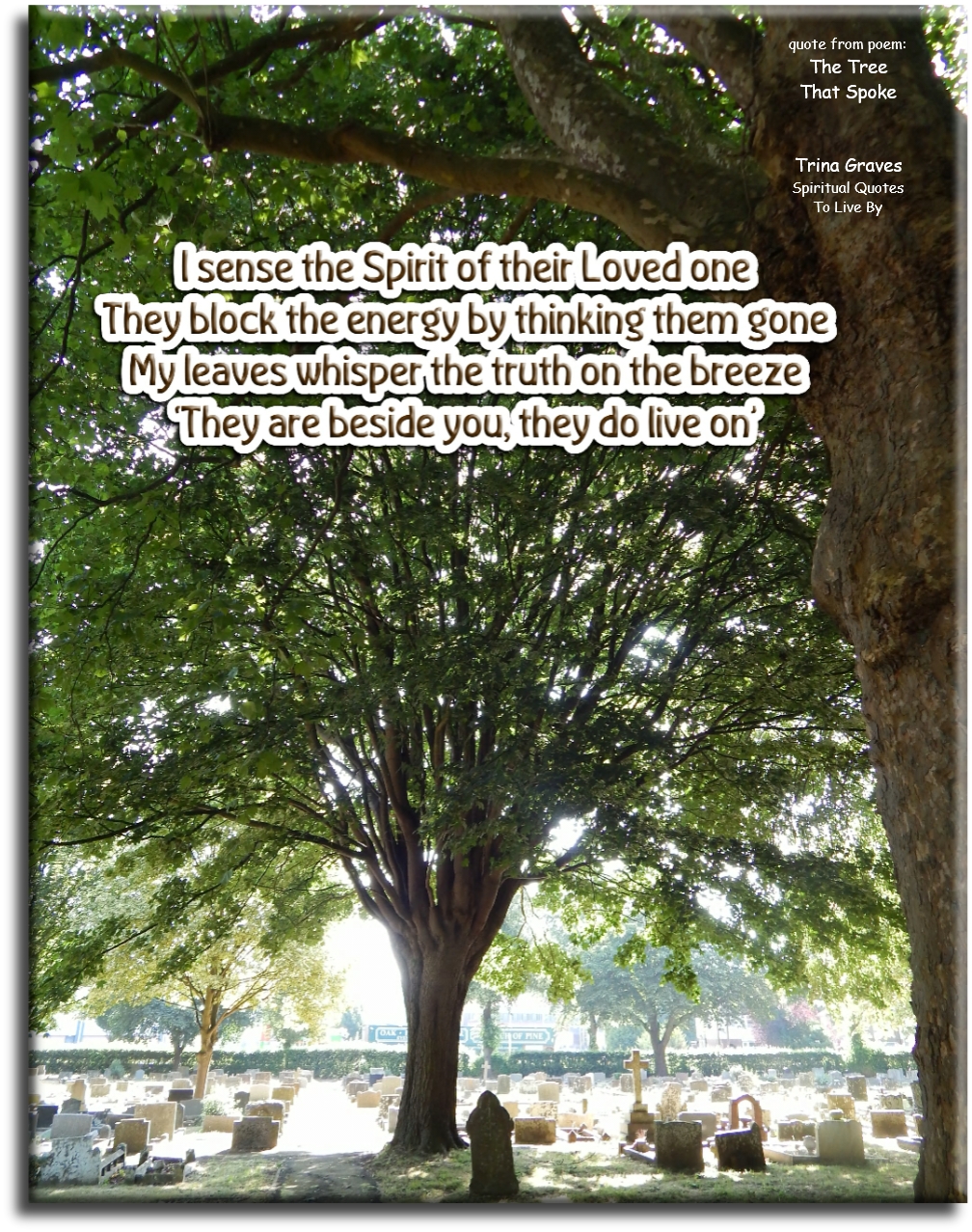 Trina Graves quote - I sense the Spirit of their Loved one, They block the energy by thinking them gone, My leaves whisper the truth on the breeze, “They are beside you, they do live on.” - Spiritual Quotes To Live By