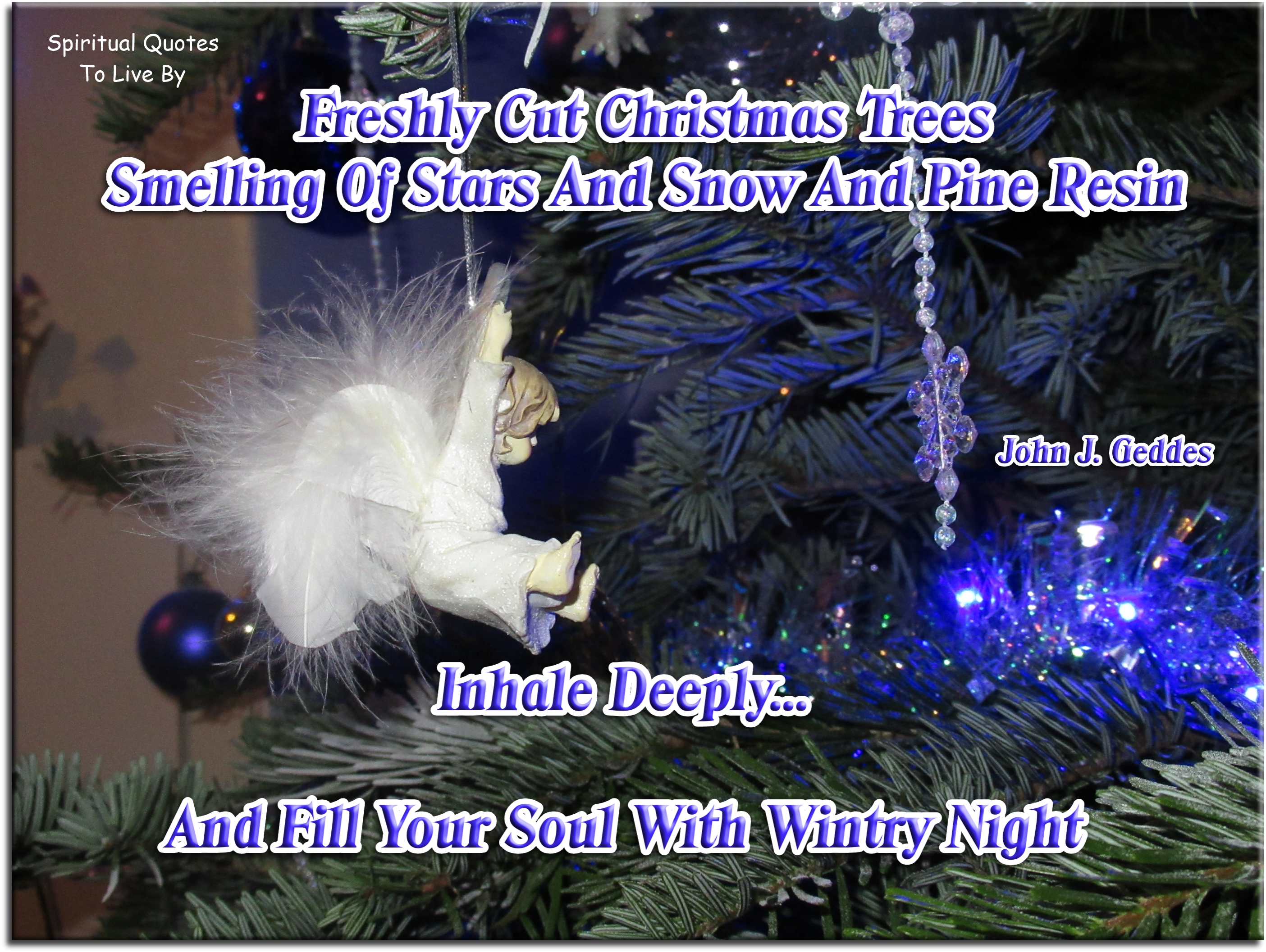 John J. Geddes quote - Freshly cut Christmas trees smelling of stars and snow and pine resin – Inhale deeply and fill your soul with wintry night. - Spiritual Quotes To Live By