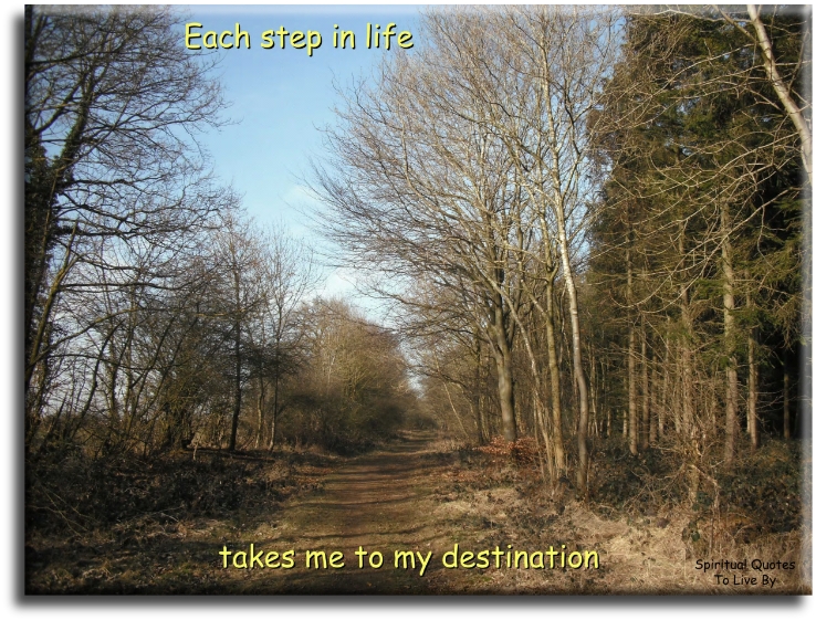 Each step in life takes me to my destination - Spiritual Quotes To Live By