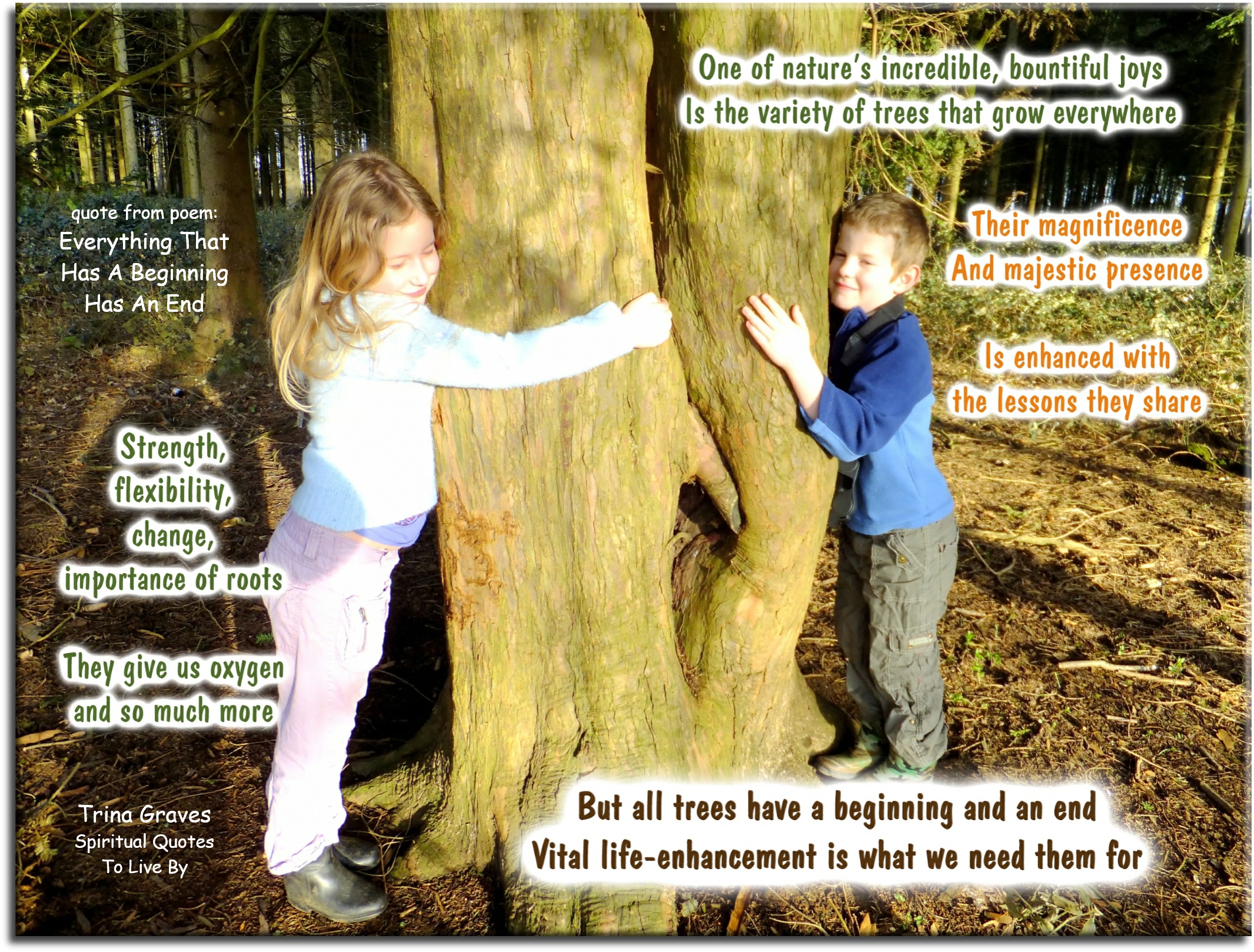 Trina Graves quote - One of nature’s incredible, bountiful joys Is the variety of trees that grow everywhere Their magnificence and majestic presence Is enhanced with the lessons they share Strength, flexibility, change, importance of roots They give us oxygen and so much more But all trees have a beginning and an end Vital life-enhancement is what we need them for - Spiritual Quotes To Live By