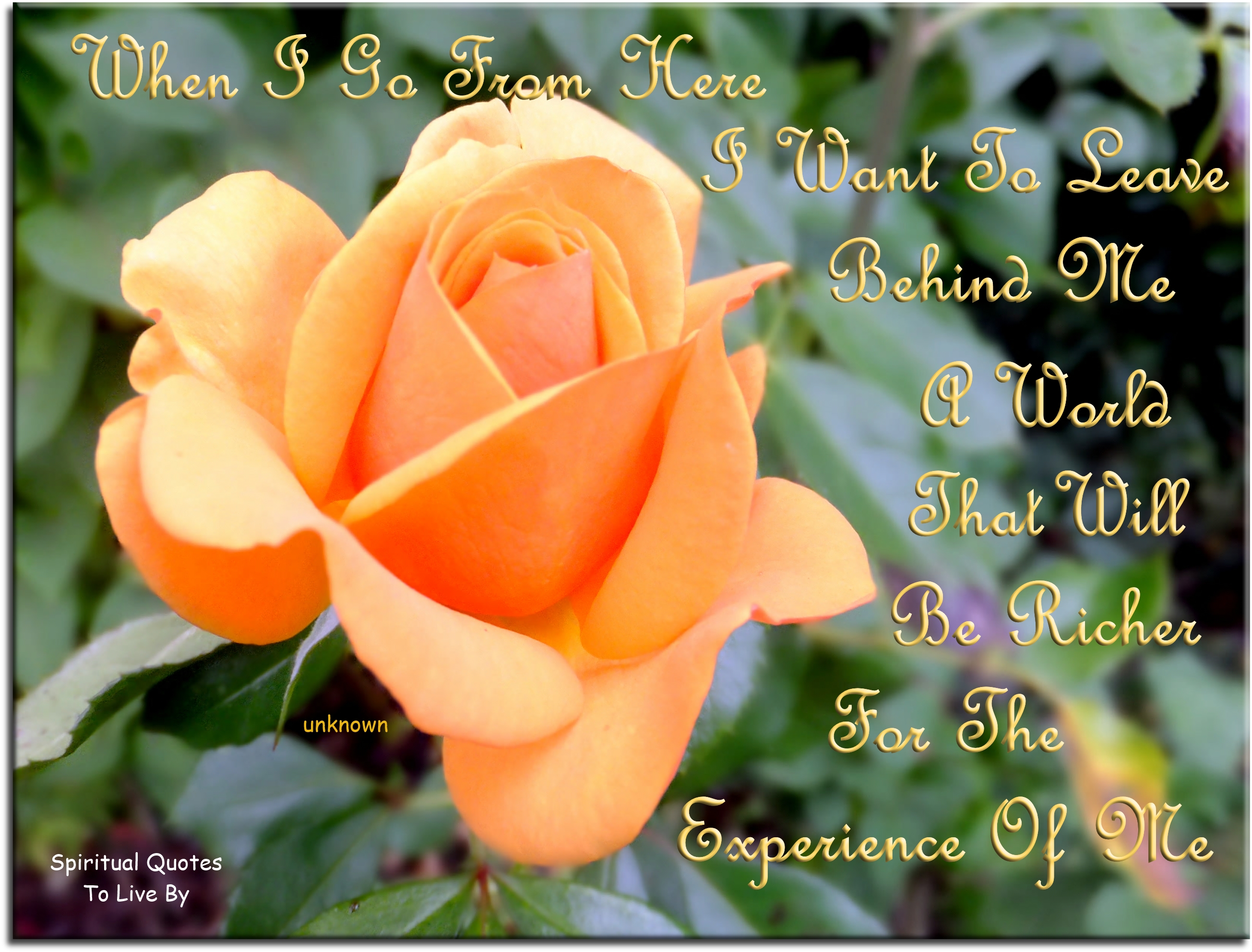 When I go from here, I want to leave behind me a world that will be richer for the experience of me. - Spiritual Quotes To Live By