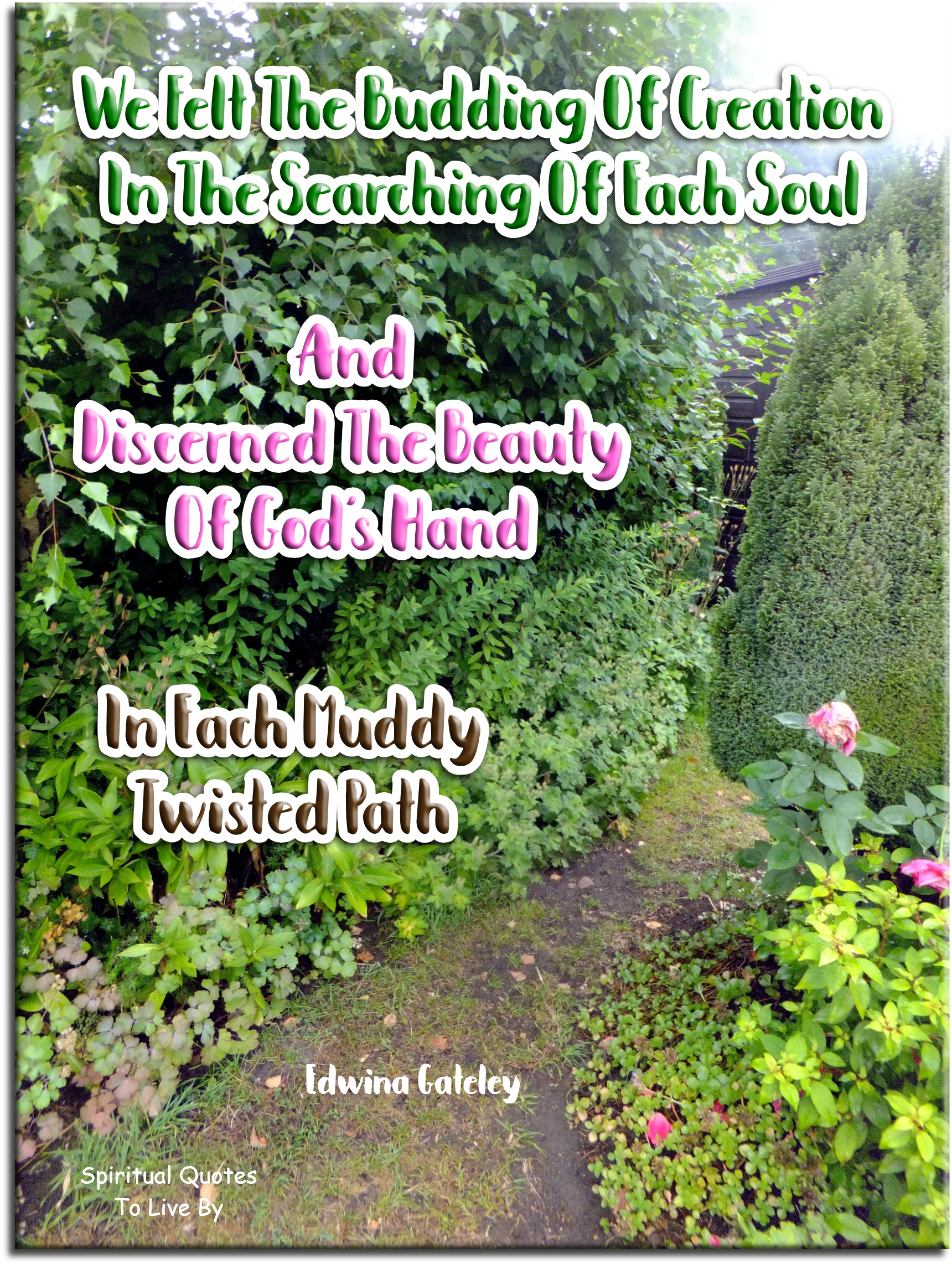 Edwina Gateley quote - We felt the budding of creation In the searching of each soul And discerned the beauty Of God’s hand in each muddy, twisted path. - Spiritual Quotes To Live By
