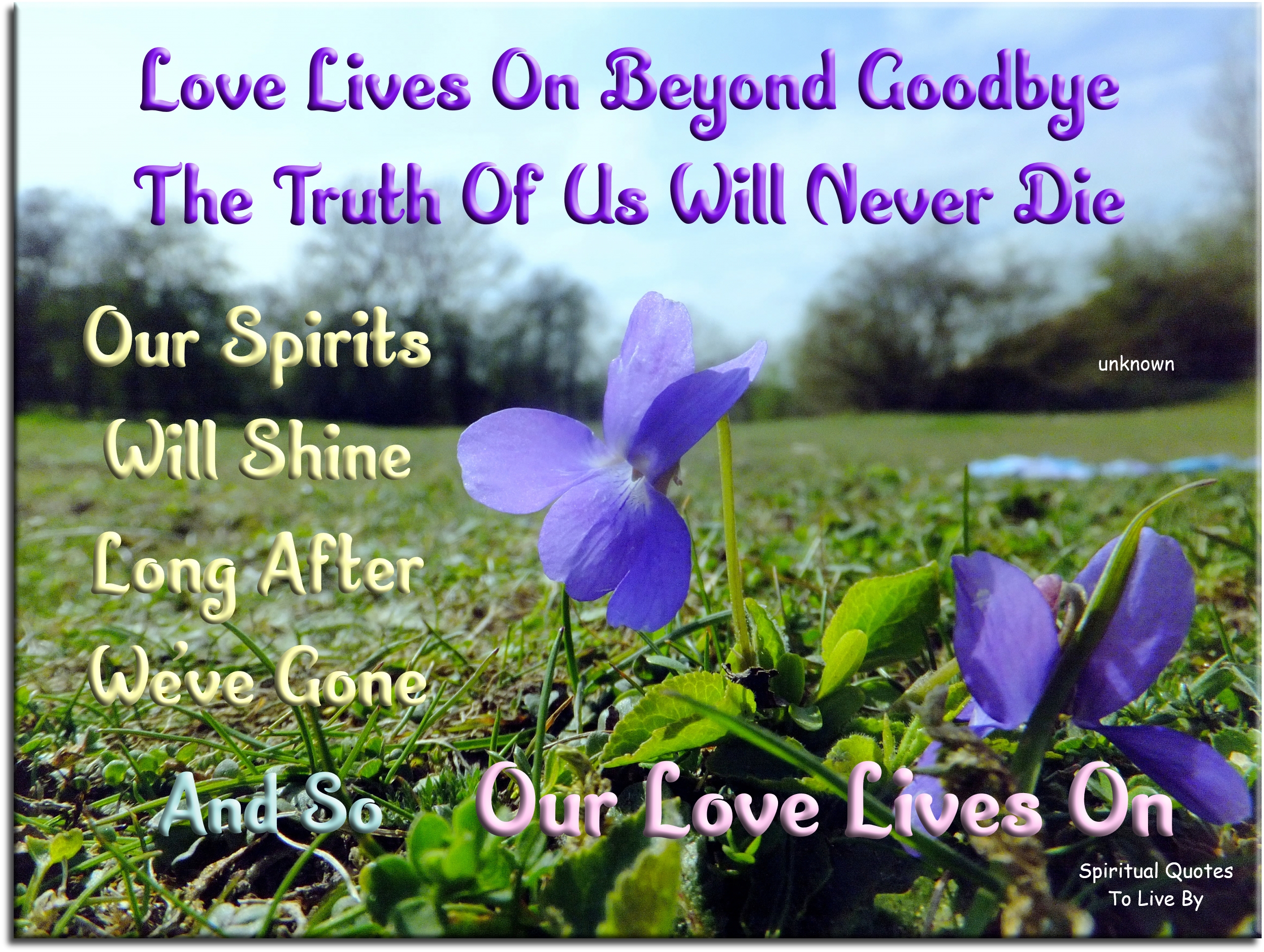 Love lives on beyond goodbye The truth of us will never die Our Spirits will shine Long after we’ve gone And so our love lives on  - Spiritual Quotes To Live By