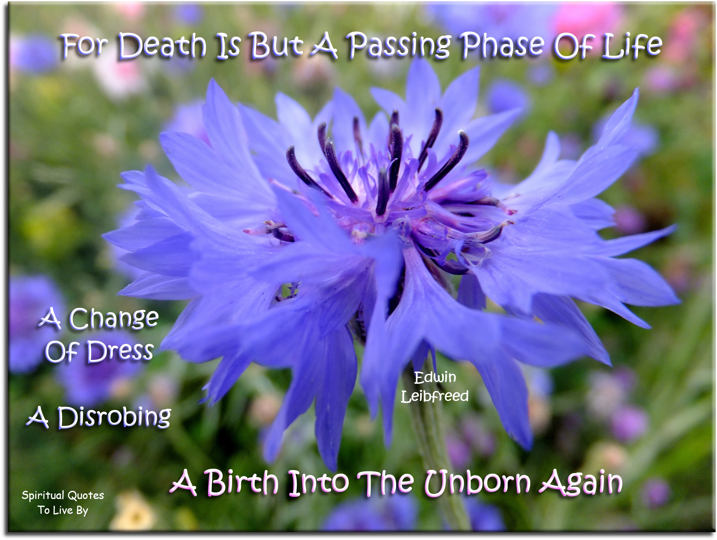 Edwin Leibfreed quote - For death is but a passing phase of life; A change of dress, a disrobing A birth into the unborn again - Spiritual Quotes To Live By