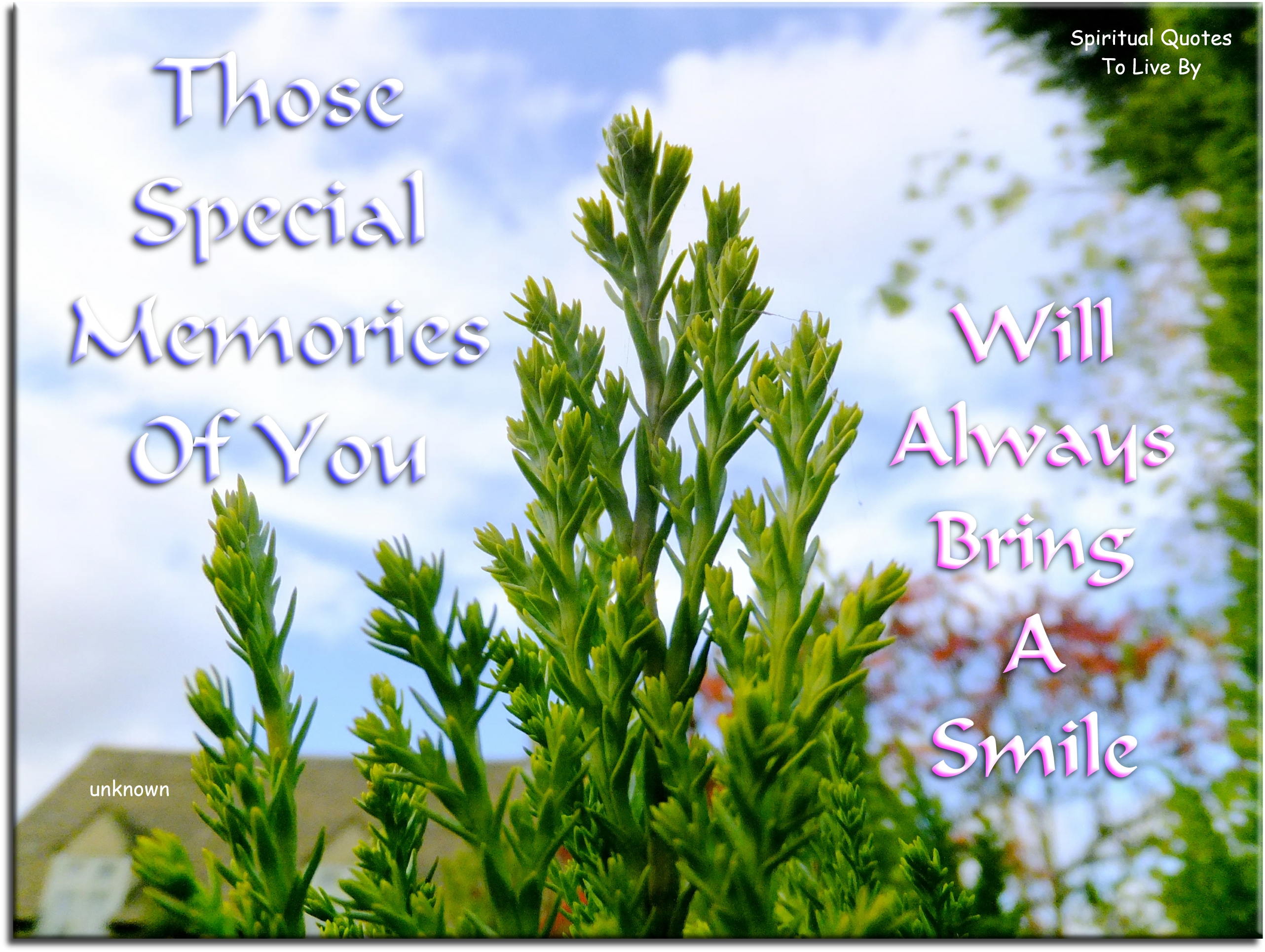 Those special memories of you  Will always bring a smile - Spiritual Quotes To Live By