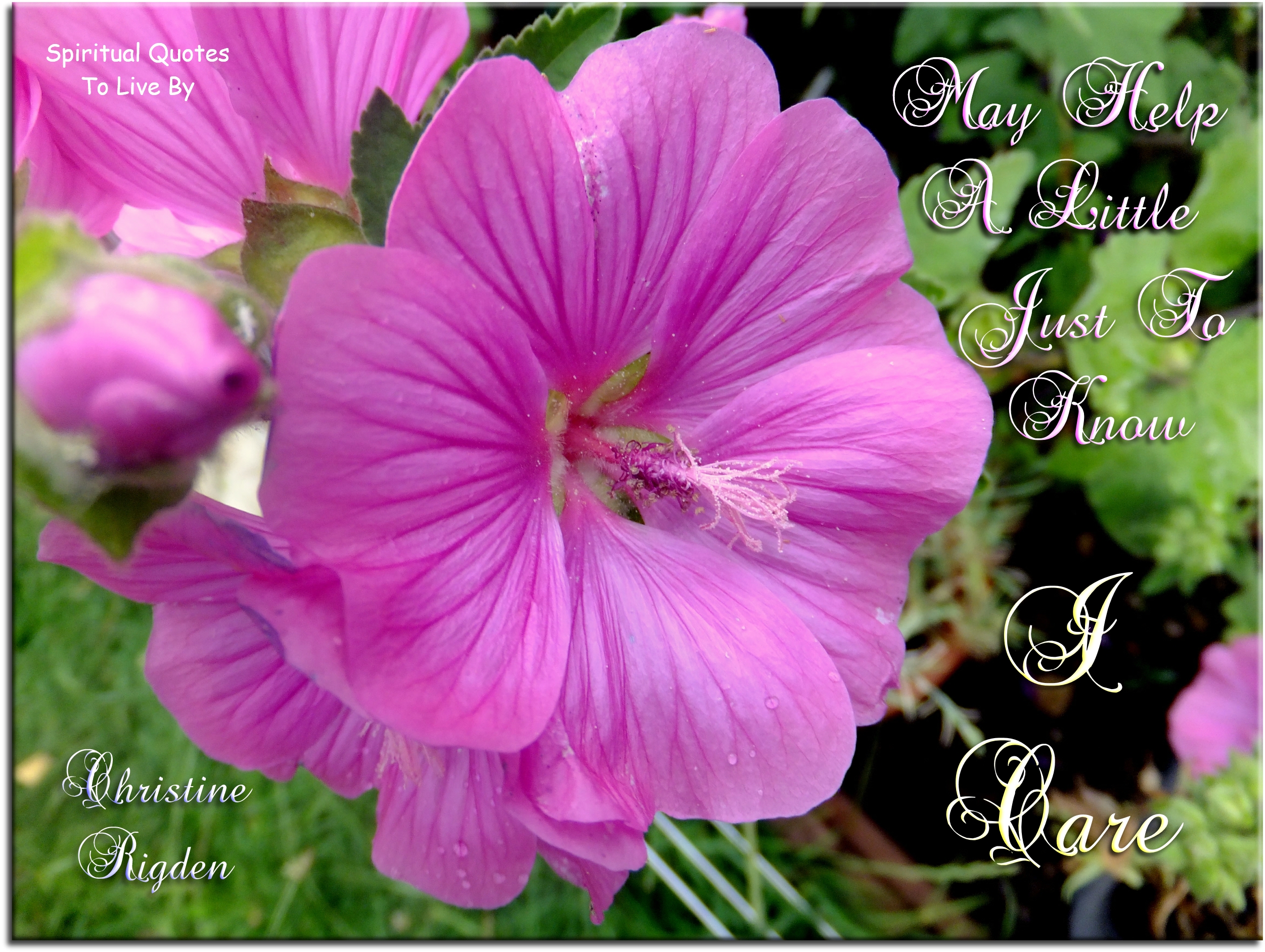 Christine Rigden quote - May help a little, just to know I care - Spiritual Quotes To Live By