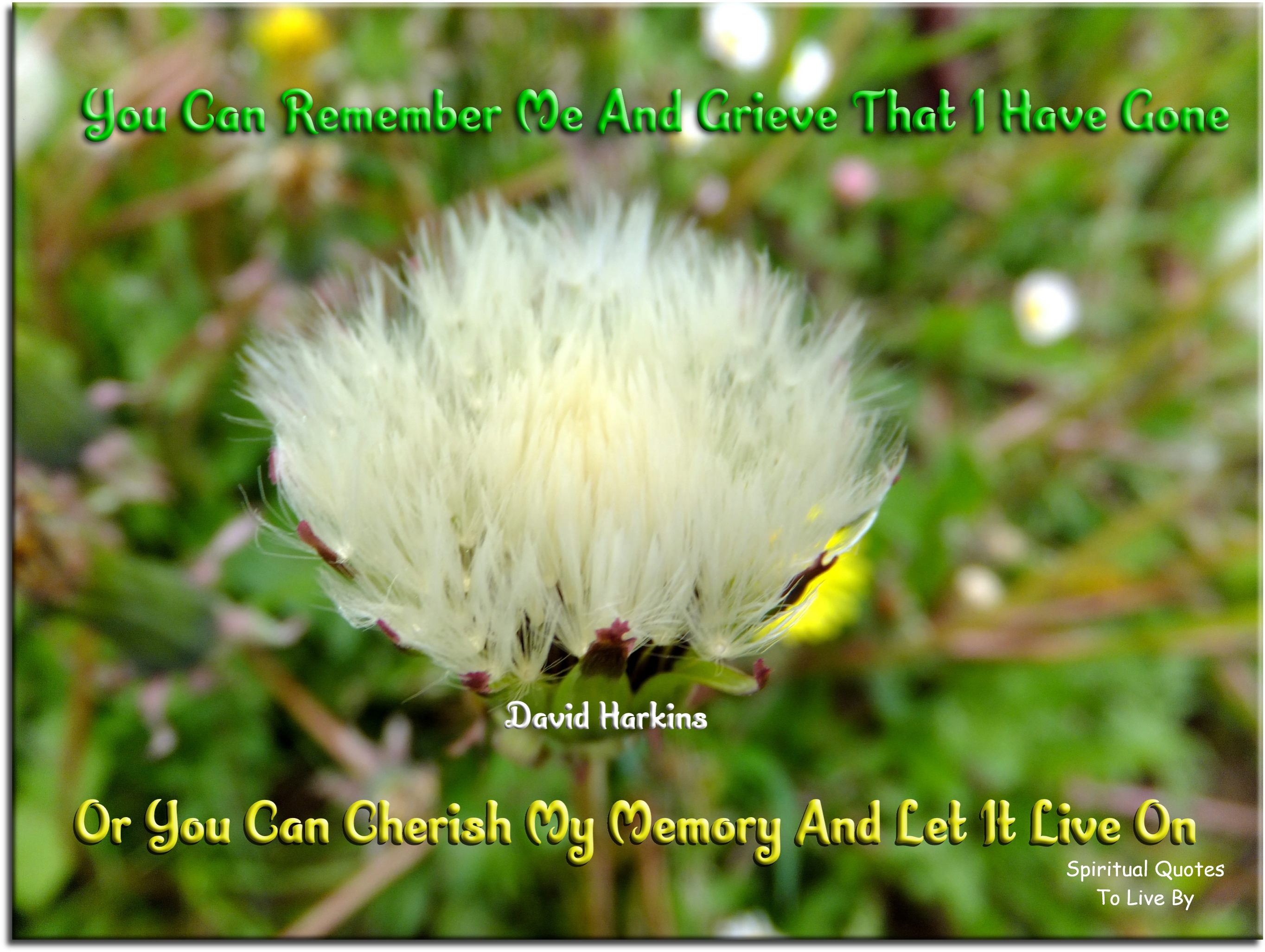 David Harkins quote - You can remember me and grieve that I have gone, or you can cherish my memory and let it live on. - Spiritual Quotes To Live By