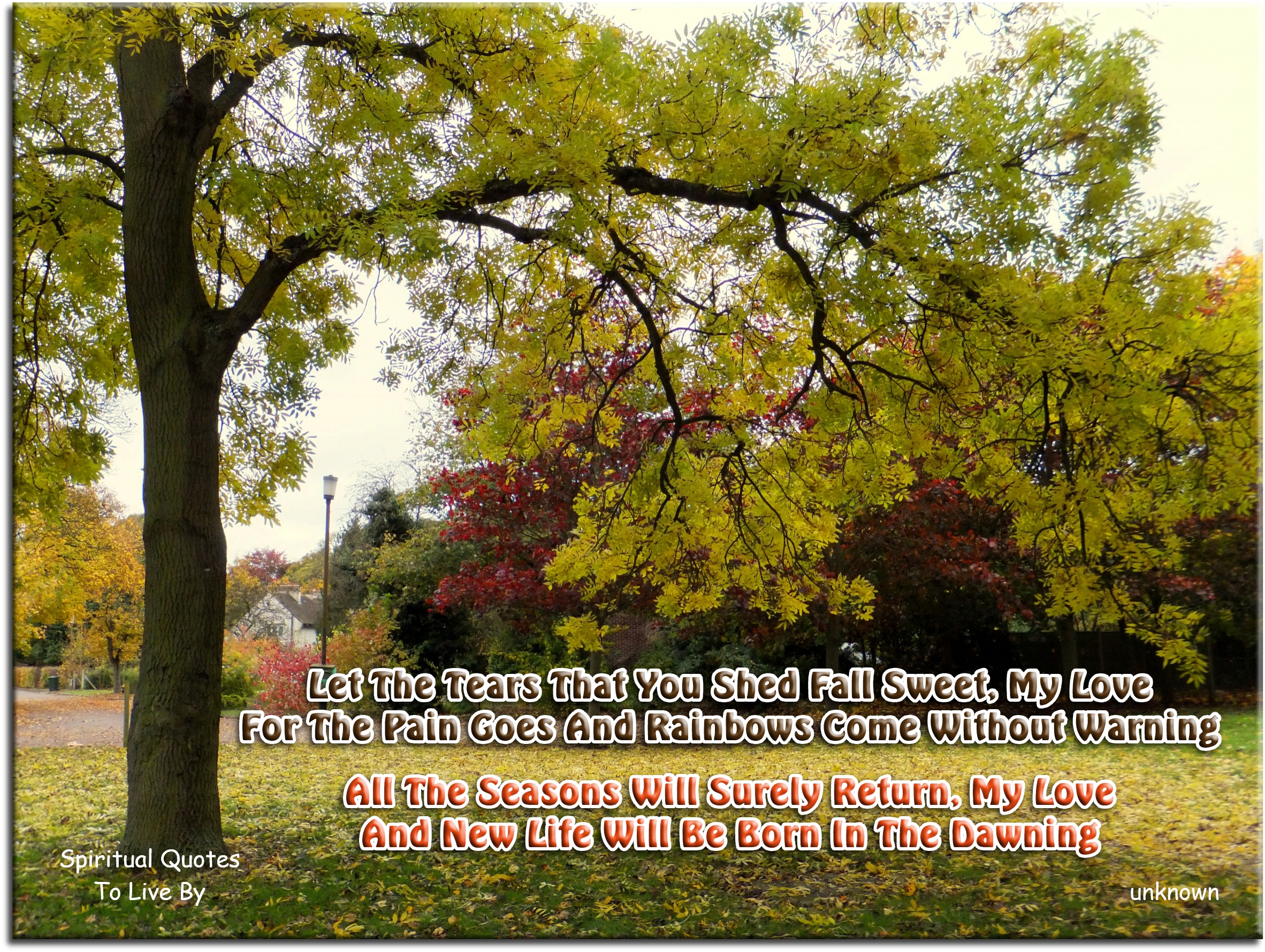 Let the tears that you shed fall sweet, my love For the pain goes and rainbows come without warning All the seasons will surely return, my love And new life will be born in the dawning - Spiritual Quotes To Live By