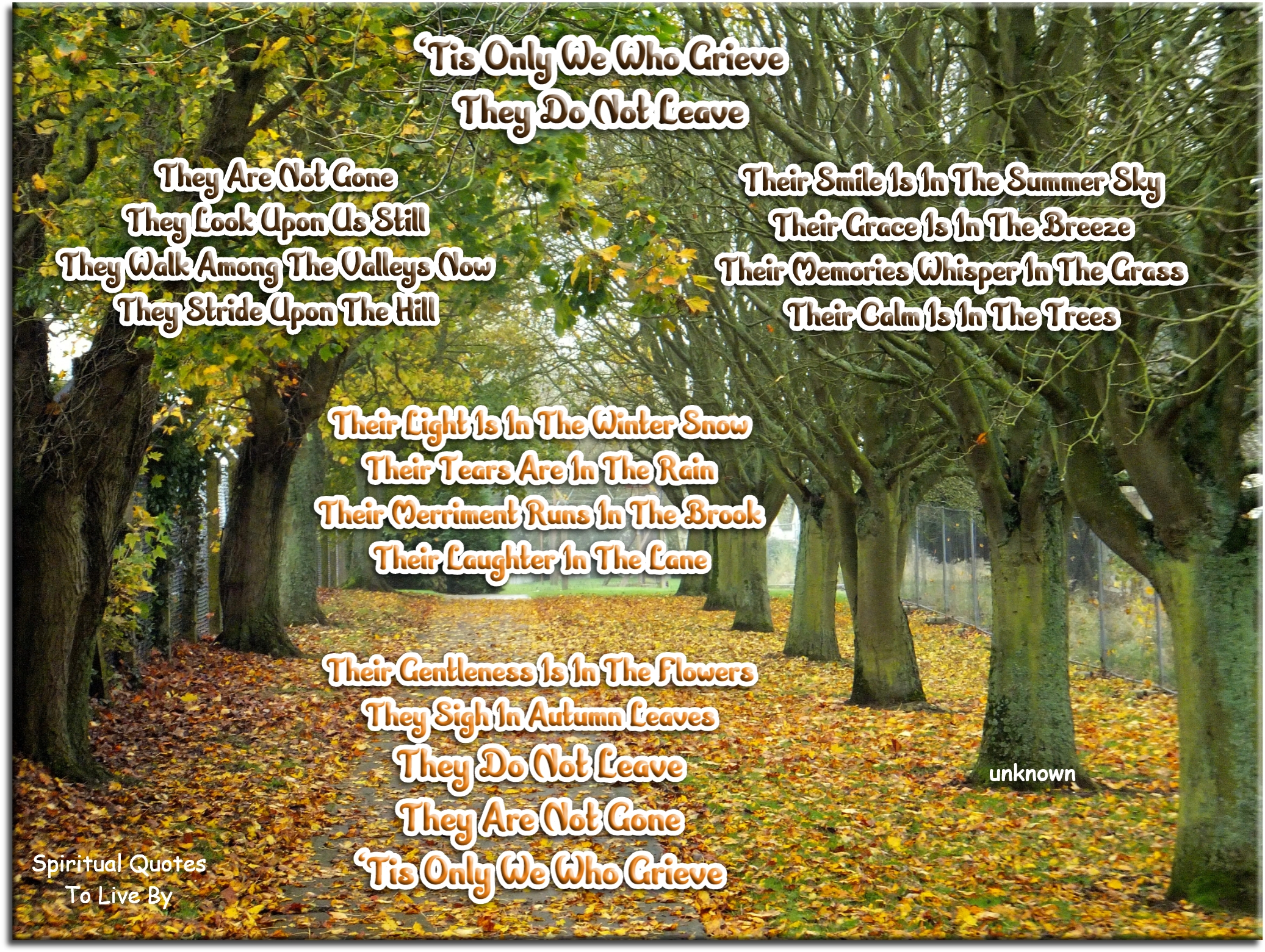‘Tis only we who grieve They do not leave They are not gone They look upon us still They walk among the valleys now They stride upon the hill Their smile is in the summer sky Their grace is in the breeze Their memories whisper in the grass Their calm is in the trees Their light is in the winter snow Their tears are in the rain Their merriment runs in the brook Their laughter in the lane Their gentleness is in the flowers They sigh in autumn leaves They do not leave They are not gone ‘Tis only we who grieve - Spiritual Quotes To Live By