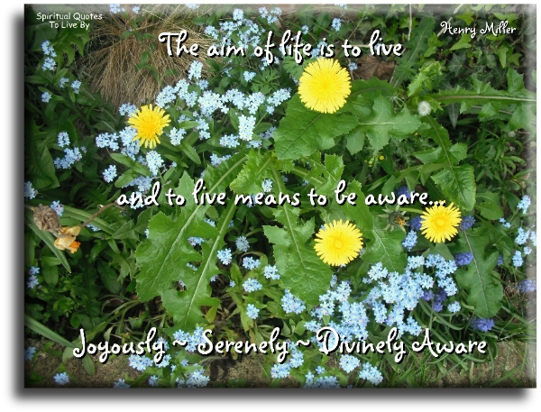 Henry Miller quote: The aim of life is to live, and to live means to be aware; joyously, serenely, divinely Aware. - Spiritual Quotes To Live By