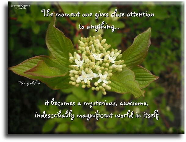 Henry Miller quote - The moment one give close attention to anything, it becomes a mysterious, awesome, indescribably magnificent world in itself. - Spiritual Quotes To Live By