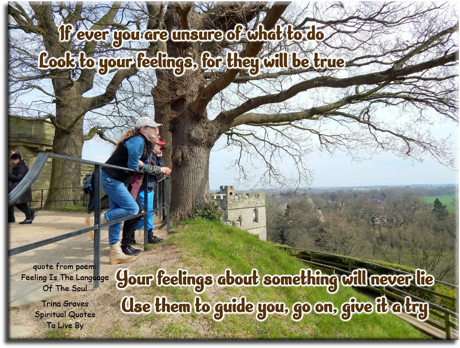 Trina Graves quote - If ever you are unsure of what to do, Look to your feelings for they will be true, Your feelings about something will never lie, Use them to guide you, go on, give it a try - Spiritual Quotes To Live By